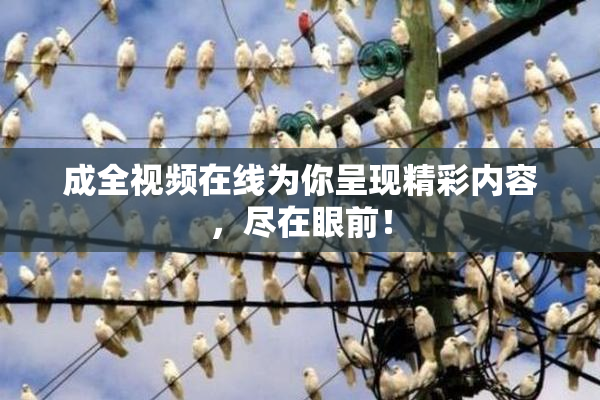 成全视频在线为你呈现精彩内容，尽在眼前！