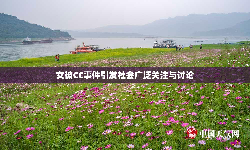 女被CC事件引发社会广泛关注与讨论