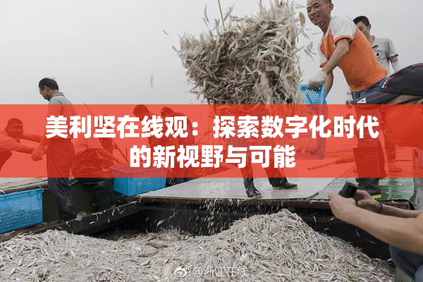 美利坚在线观：探索数字化时代的新视野与可能