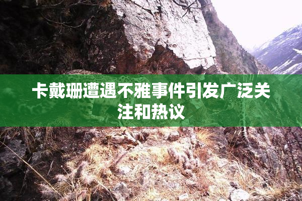 卡戴珊遭遇不雅事件引发广泛关注和热议
