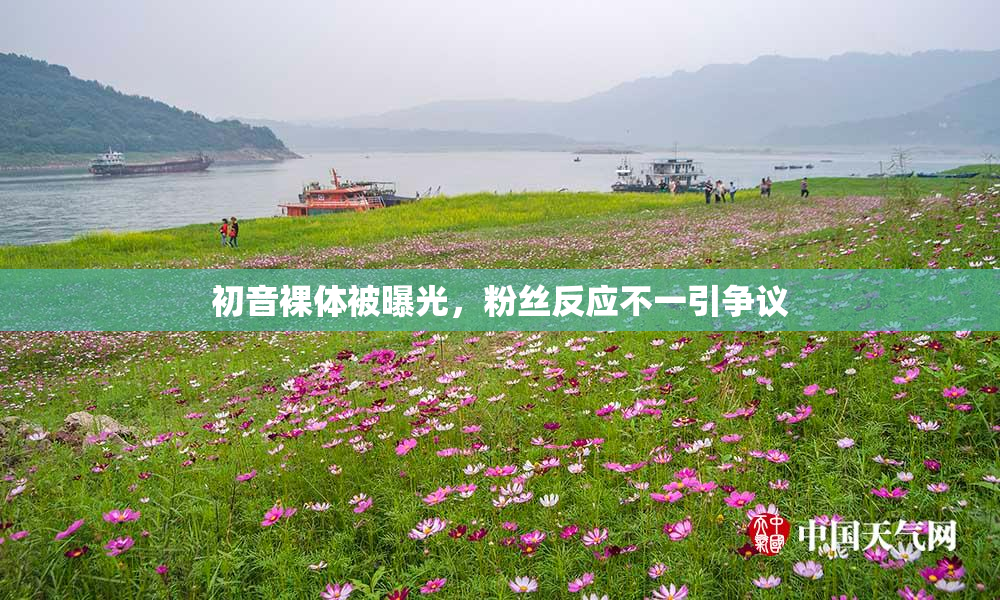 初音裸体被曝光，粉丝反应不一引争议