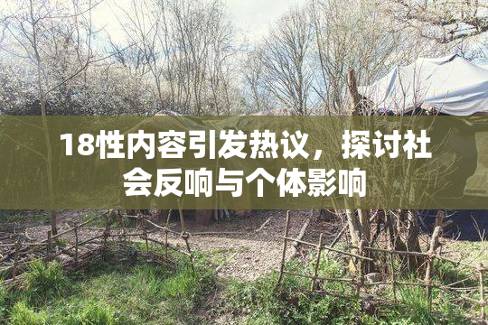 18性内容引发热议，探讨社会反响与个体影响