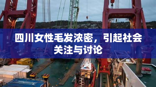 四川女性毛发浓密，引起社会关注与讨论