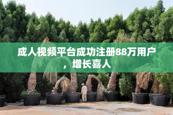 成人视频平台成功注册88万用户，增长喜人