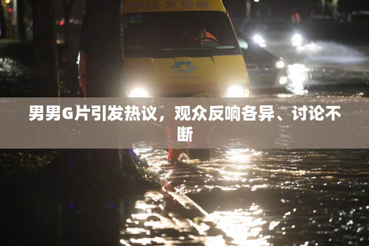 男男G片引发热议，观众反响各异、讨论不断