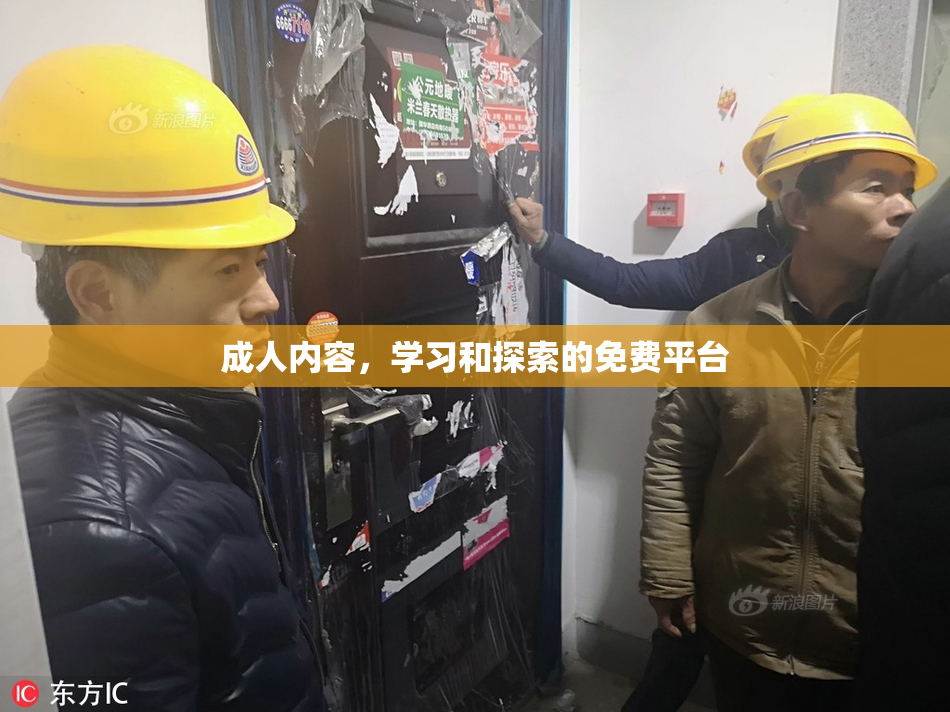 成人内容，学习和探索的免费平台