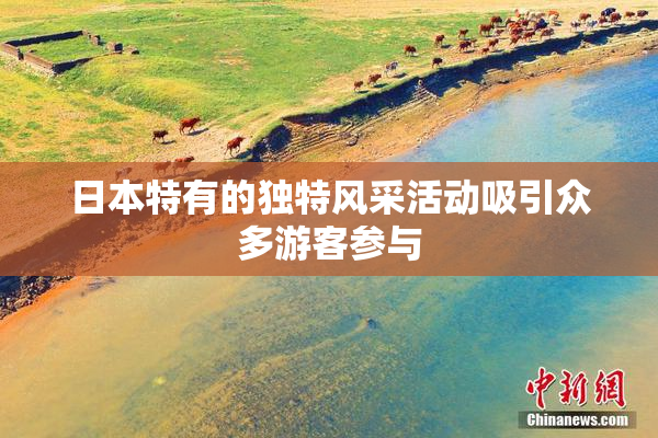日本特有的独特风采活动吸引众多游客参与