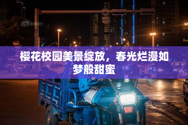 樱花校园美景绽放，春光烂漫如梦般甜蜜