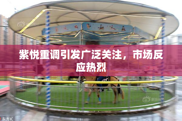 紫悦重调引发广泛关注，市场反应热烈