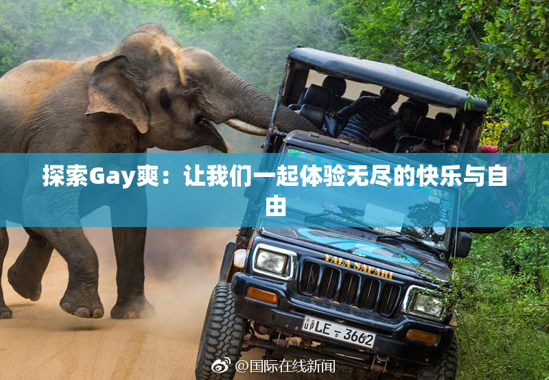 探索Gay爽：让我们一起体验无尽的快乐与自由