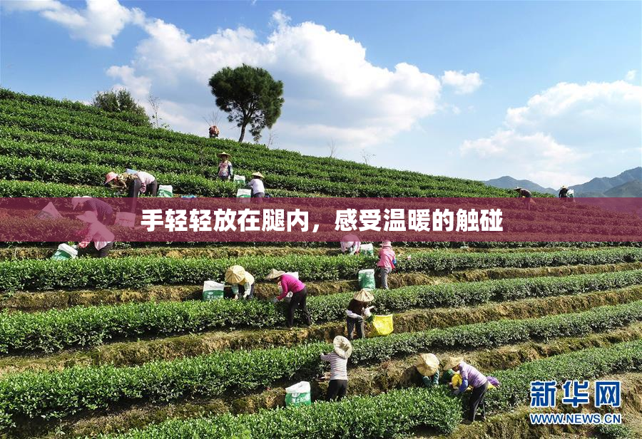 手轻轻放在腿内，感受温暖的触碰