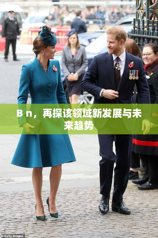 B n，再探该领域新发展与未来趋势