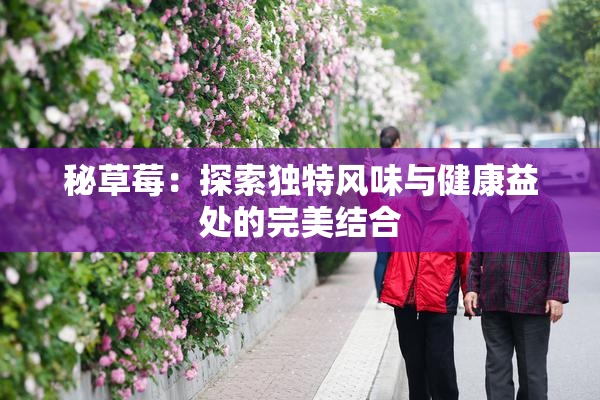 秘草莓：探索独特风味与健康益处的完美结合