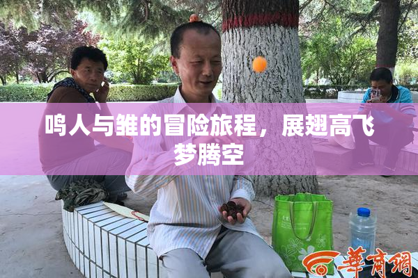 鸣人与雏的冒险旅程，展翅高飞梦腾空