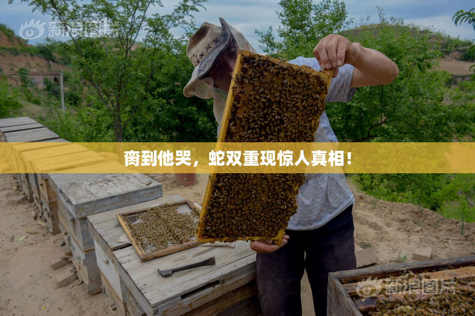 脔到他哭，蛇双重现惊人真相！