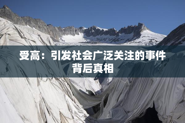 受高：引发社会广泛关注的事件背后真相