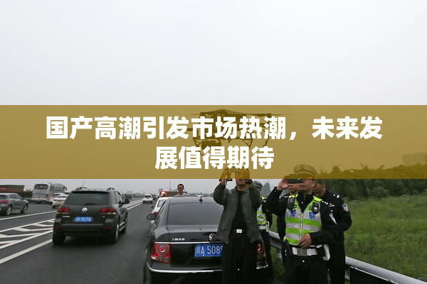 国产高潮引发市场热潮，未来发展值得期待