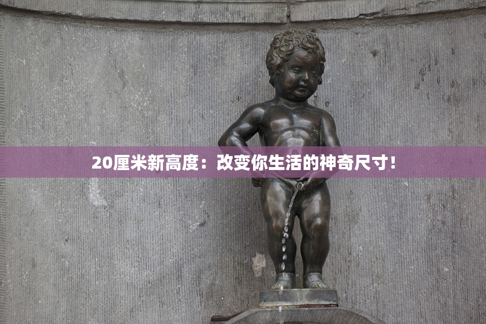 20厘米新高度：改变你生活的神奇尺寸！