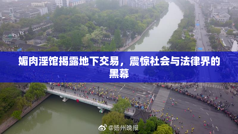 媚肉淫馆揭露地下交易，震惊社会与法律界的黑幕