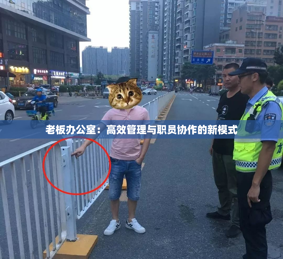 老板办公室：高效管理与职员协作的新模式