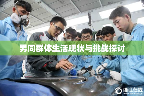 男同群体生活现状与挑战探讨