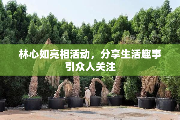 林心如亮相活动，分享生活趣事引众人关注