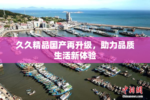 久久精品国产再升级，助力品质生活新体验