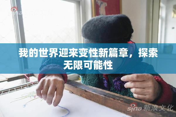 我的世界迎来变性新篇章，探索无限可能性