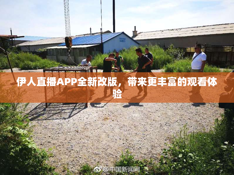伊人直播APP全新改版，带来更丰富的观看体验