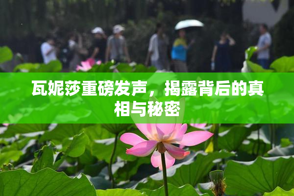 瓦妮莎重磅发声，揭露背后的真相与秘密
