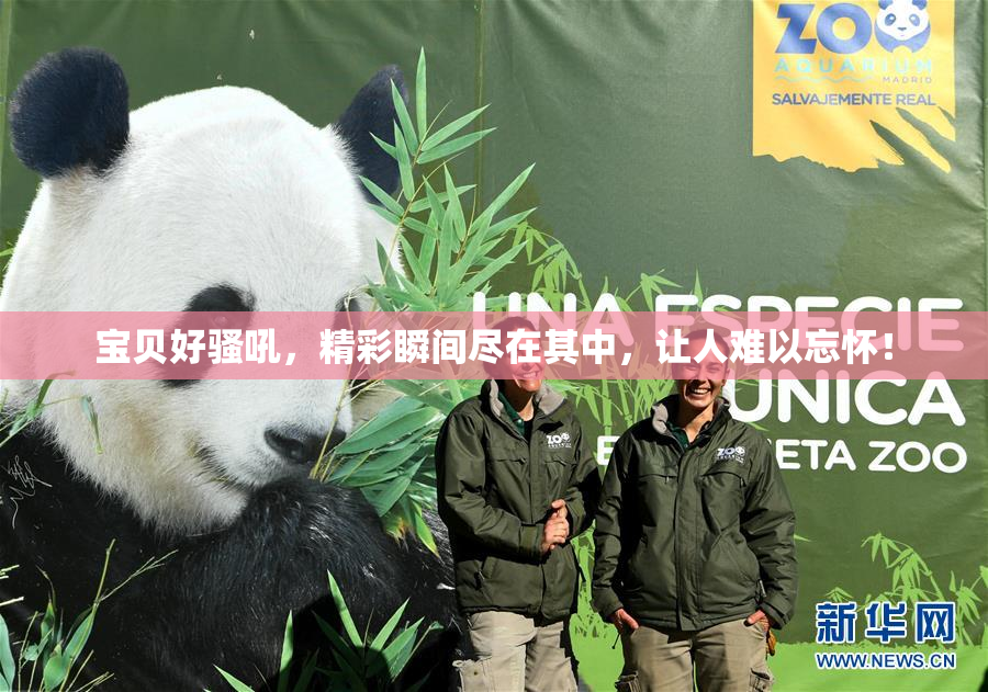 宝贝好骚吼，精彩瞬间尽在其中，让人难以忘怀！