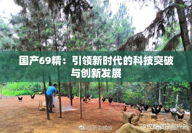 国产69精：引领新时代的科技突破与创新发展