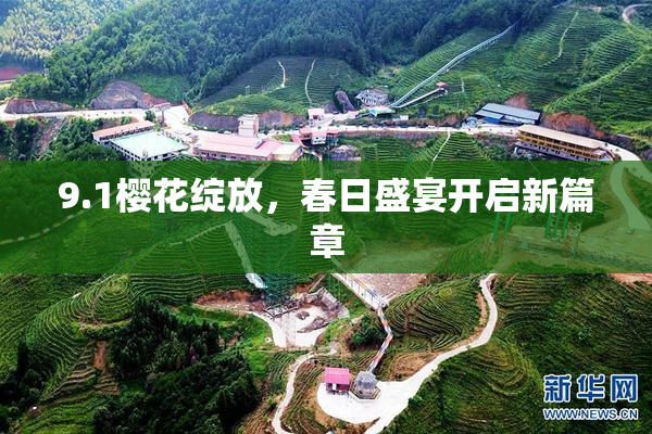 9.1樱花绽放，春日盛宴开启新篇章