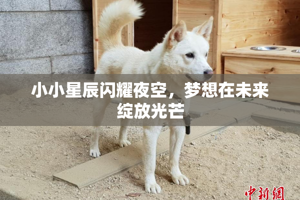 小小星辰闪耀夜空，梦想在未来绽放光芒
