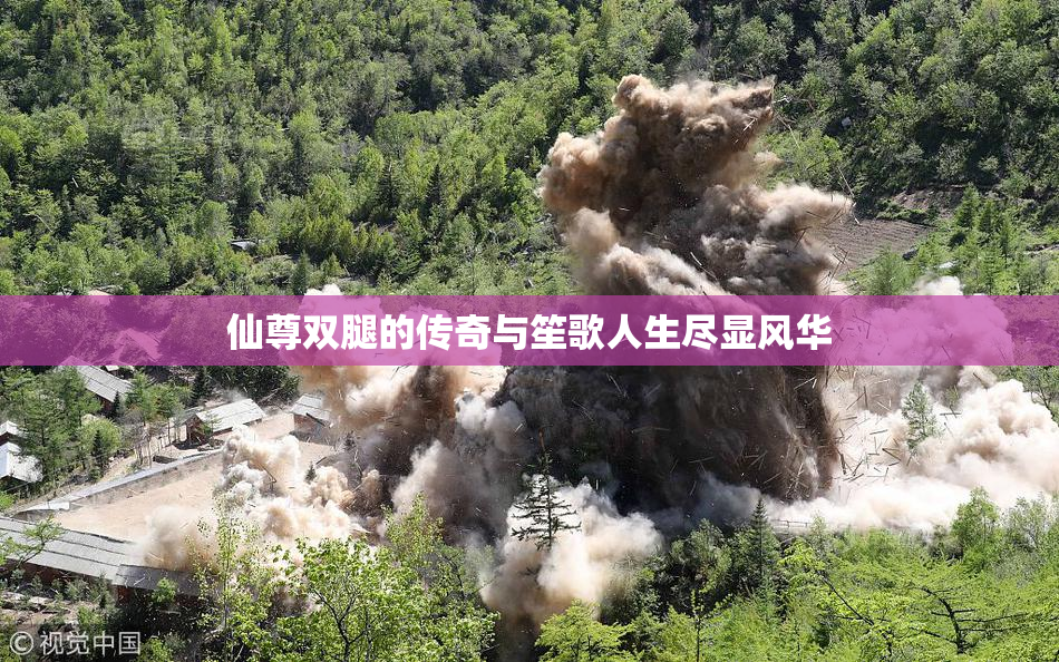 仙尊双腿的传奇与笙歌人生尽显风华