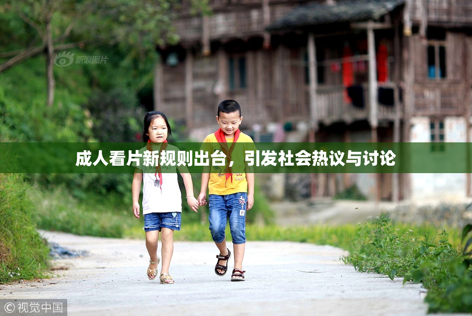 成人看片新规则出台，引发社会热议与讨论