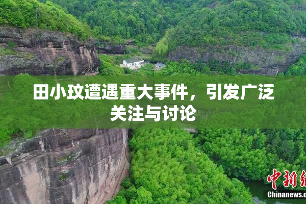 田小玟遭遇重大事件，引发广泛关注与讨论