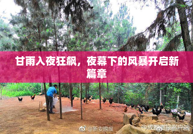 甘雨入夜狂飙，夜幕下的风暴开启新篇章