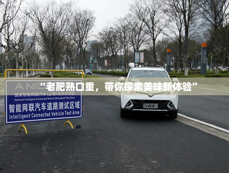 “老肥熟口重，带你探索美味新体验”