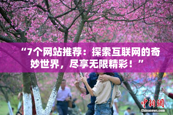 “7个网站推荐：探索互联网的奇妙世界，尽享无限精彩！”