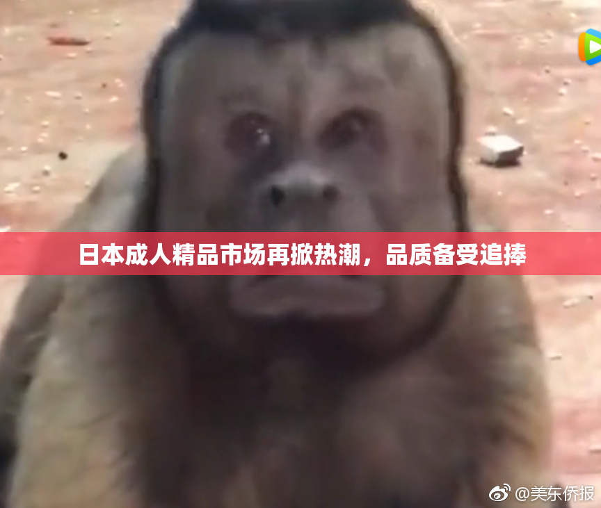 日本成人精品市场再掀热潮，品质备受追捧
