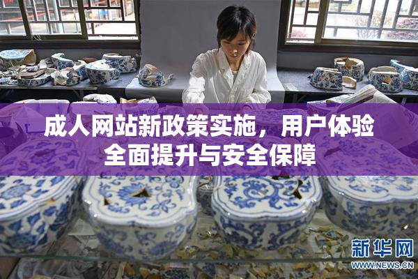 成人网站新政策实施，用户体验全面提升与安全保障