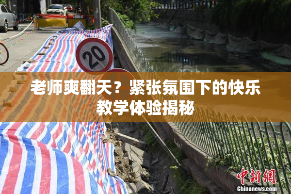 老师爽翻天？紧张氛围下的快乐教学体验揭秘
