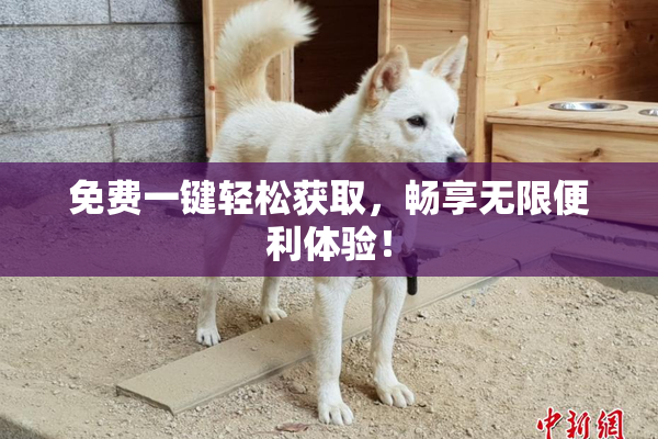 免费一键轻松获取，畅享无限便利体验！