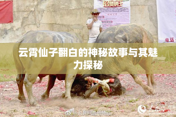 云霄仙子翻白的神秘故事与其魅力探秘