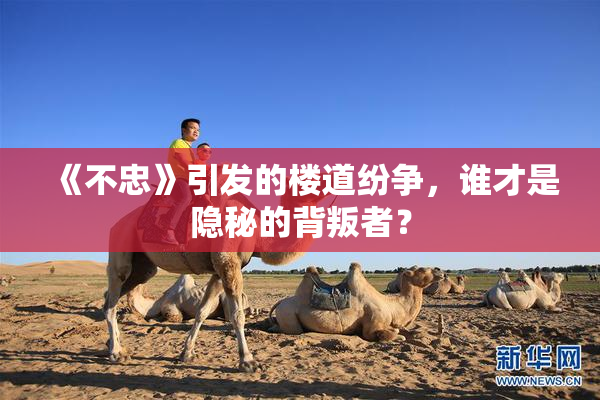 《不忠》引发的楼道纷争，谁才是隐秘的背叛者？