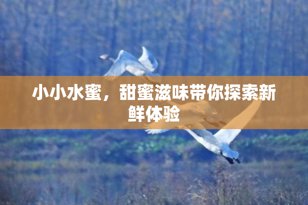 小小水蜜，甜蜜滋味带你探索新鲜体验