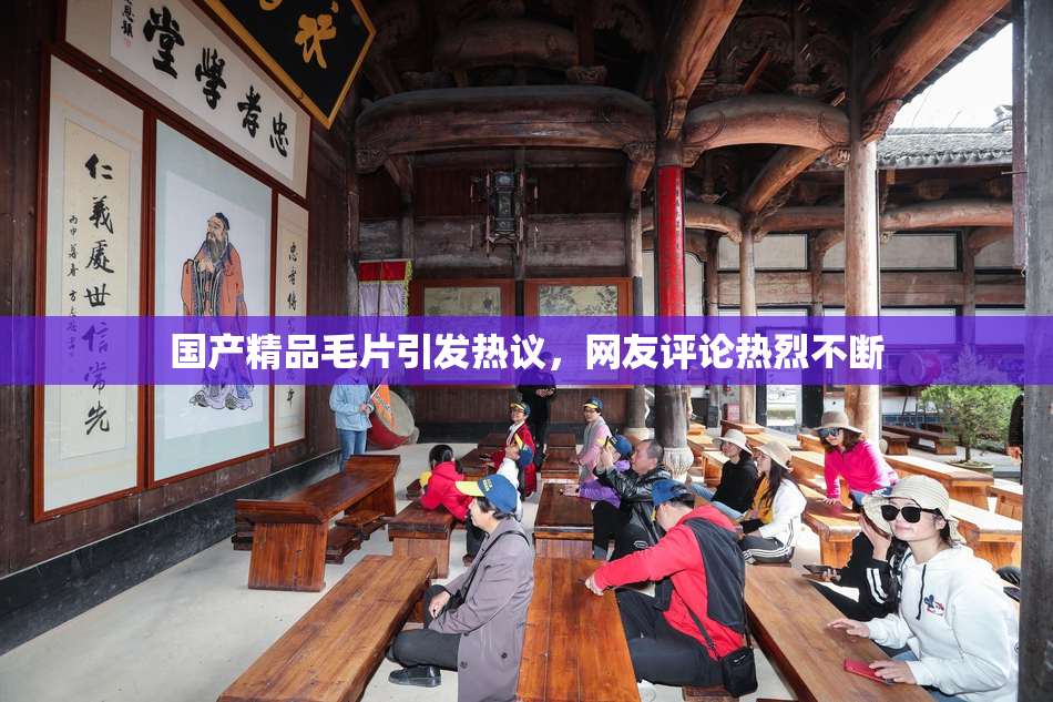 国产精品毛片引发热议，网友评论热烈不断