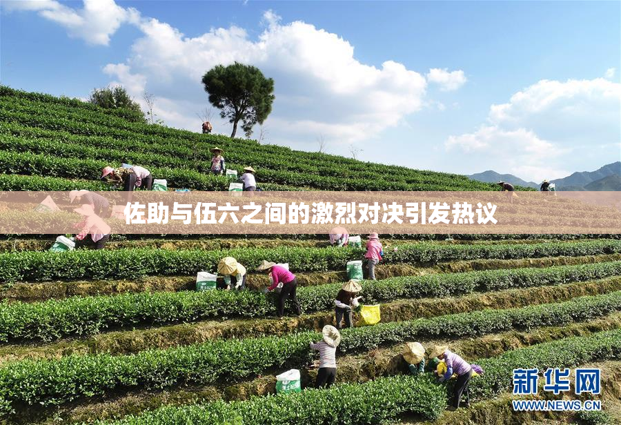 佐助与伍六之间的激烈对决引发热议