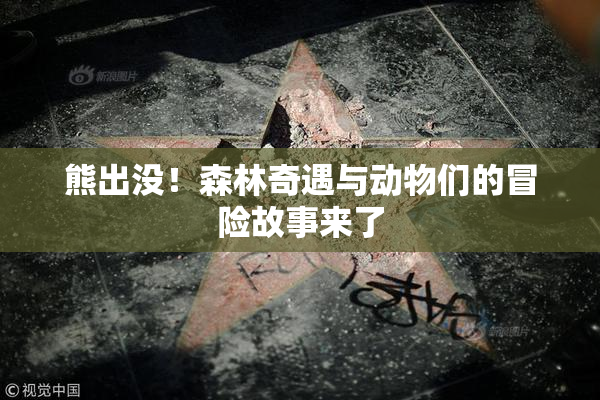 熊出没！森林奇遇与动物们的冒险故事来了